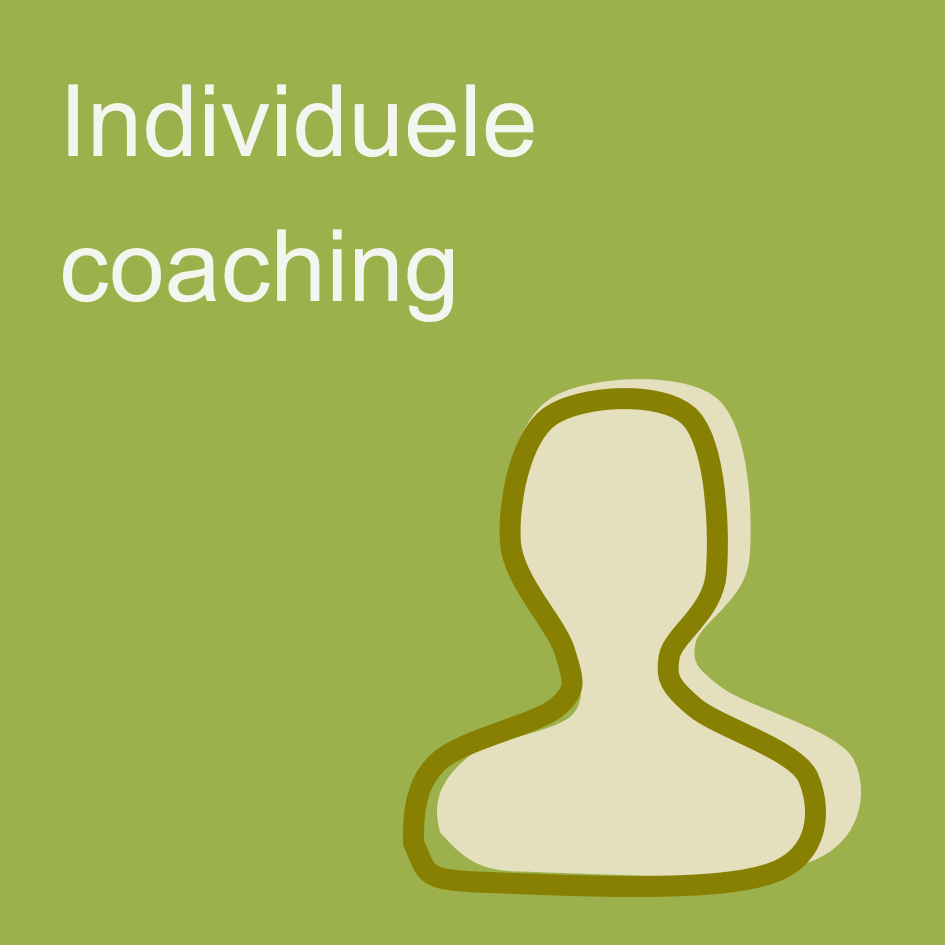 Individuele coaching